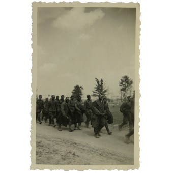 Soviet POWs on the marsh. Espenlaub militaria